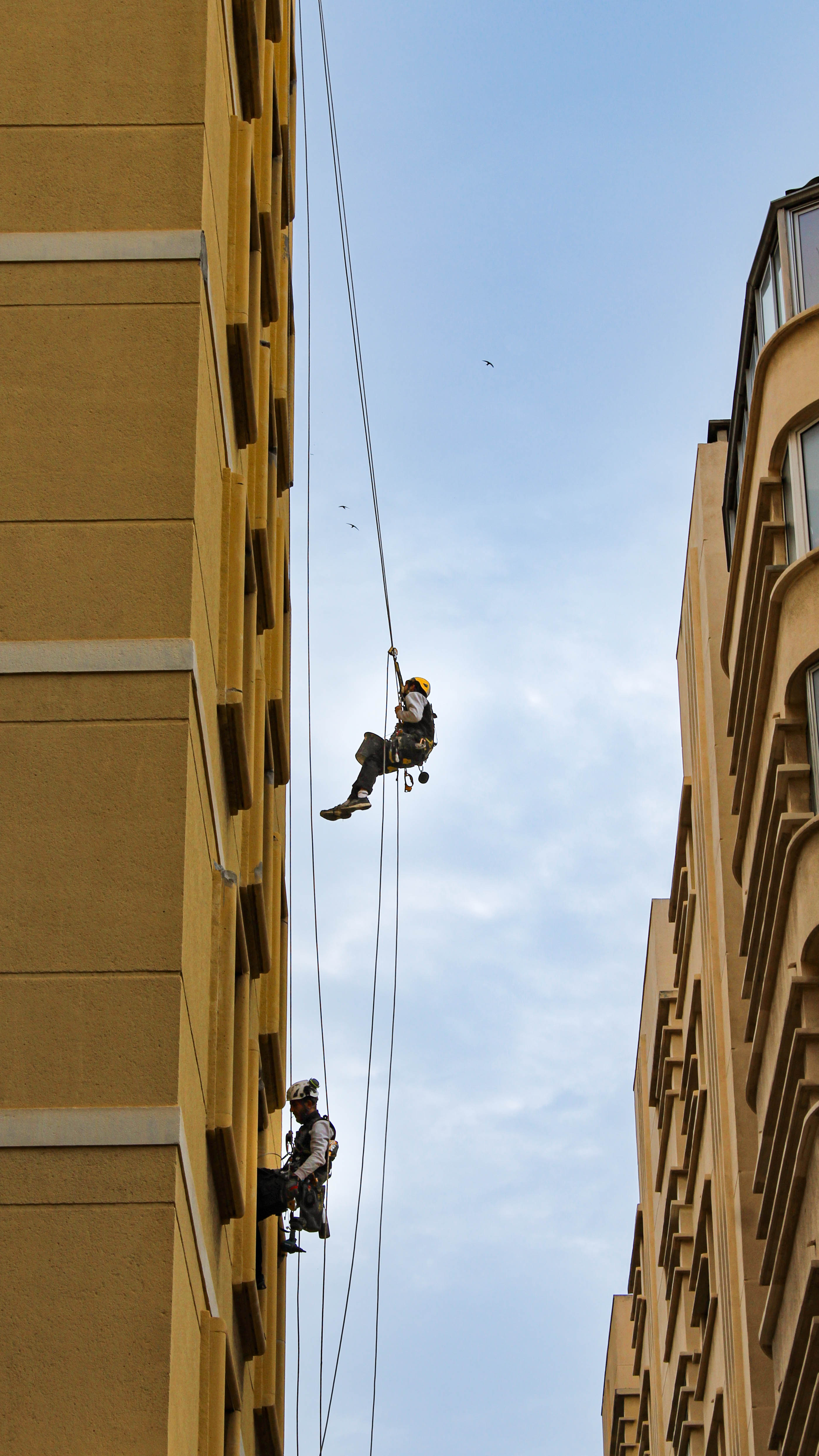 Purge, restructuration et mise à la teinte